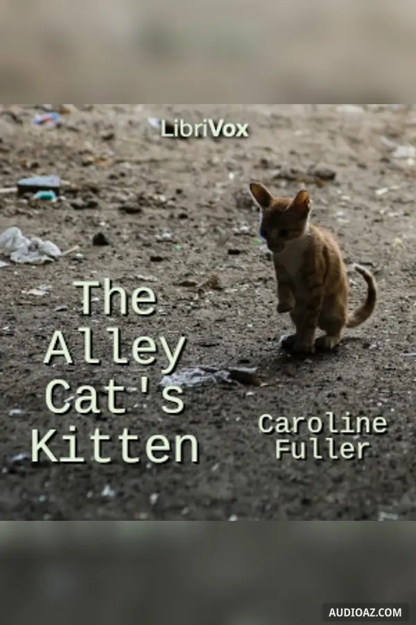 The Alley Cat’s Kitten