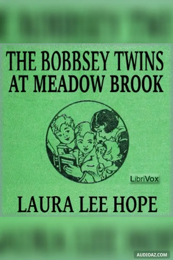 The Bobbsey Twins at Meadow Brook