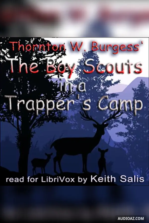 The Boy Scouts in a Trapper's Camp