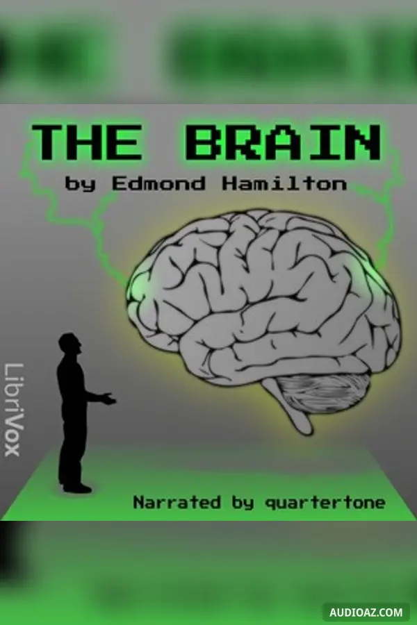 The Brain