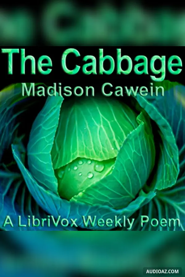 The Cabbage