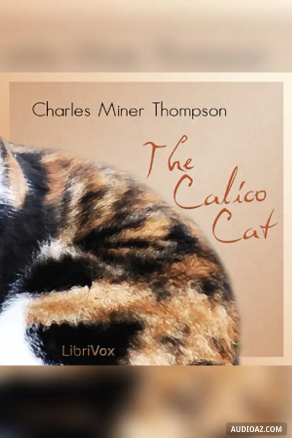 The Calico Cat
