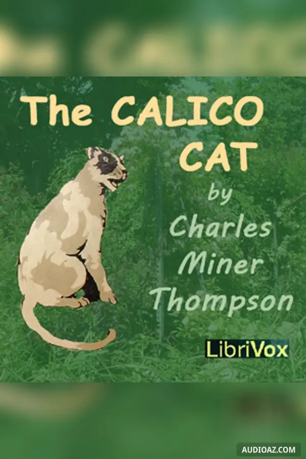The Calico Cat (version 2)