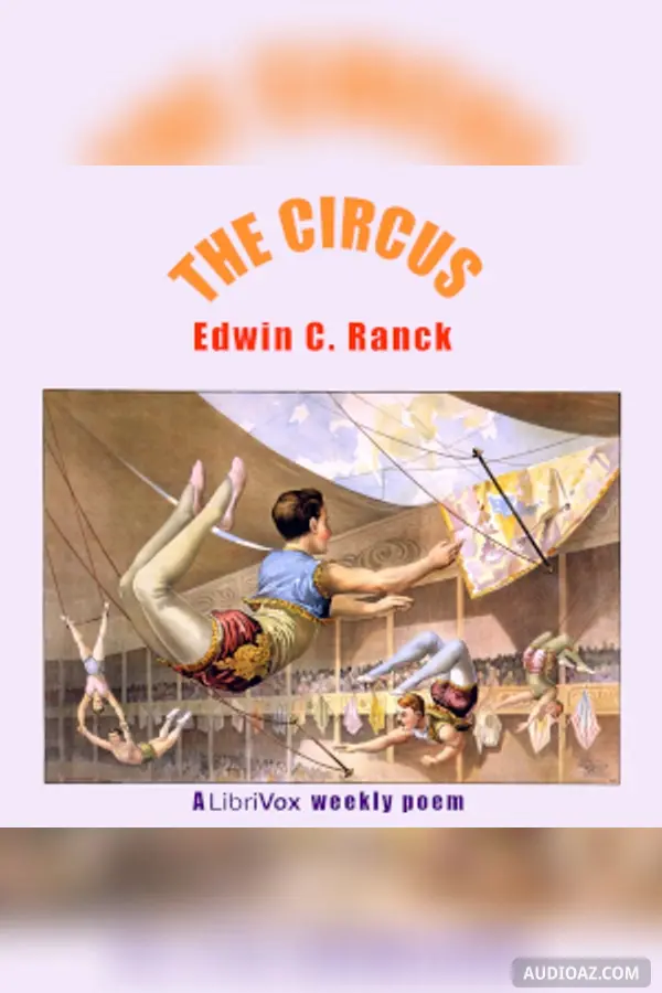The Circus