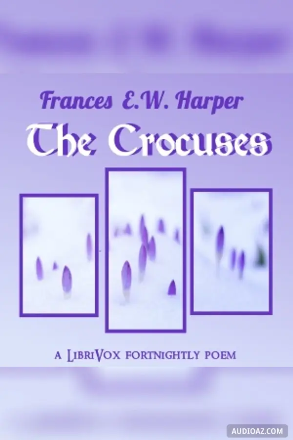 The Crocuses
