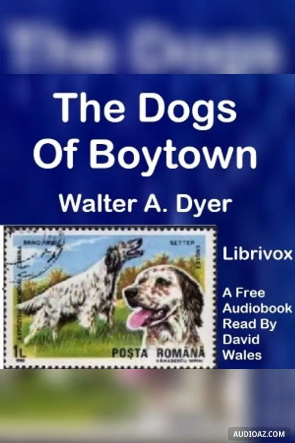 The Dogs Of Boytown