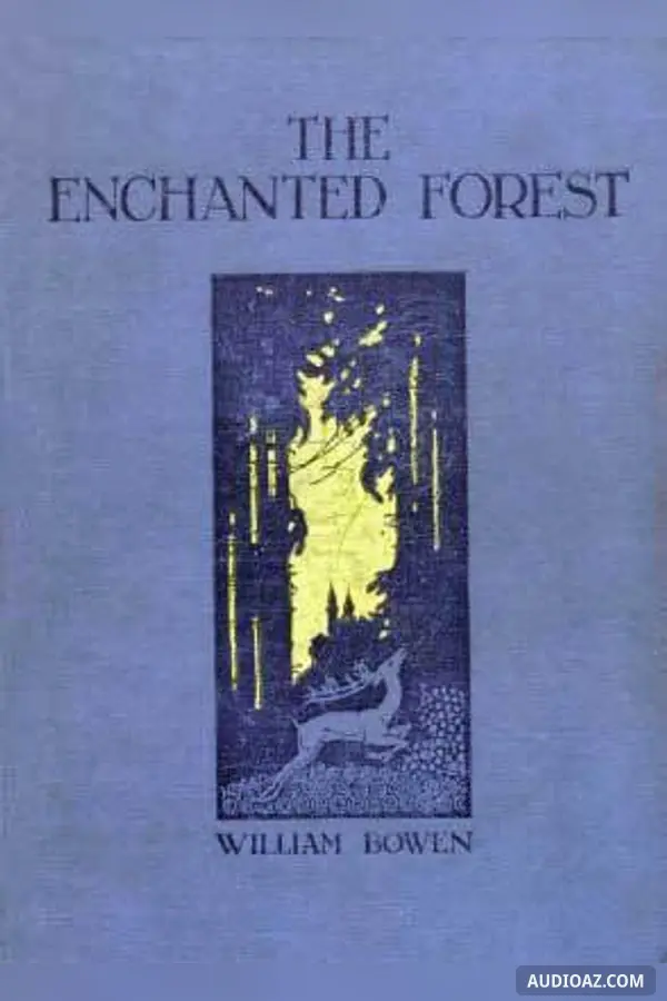 The Enchanted Forest