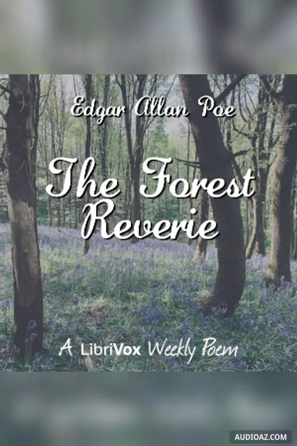 The Forest Reverie