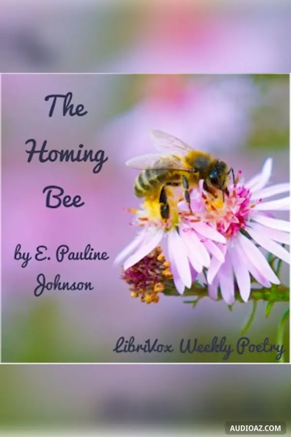 The Homing Bee