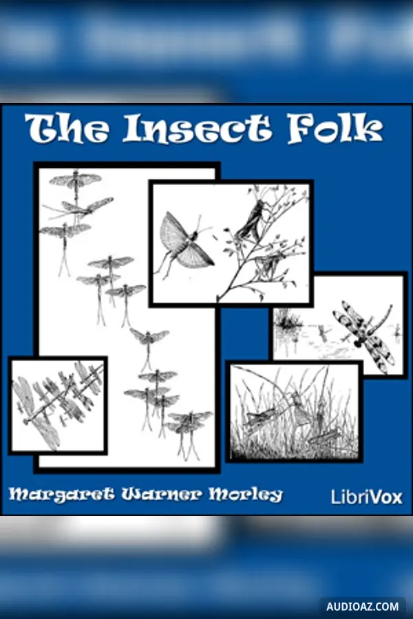 The Insect Folk