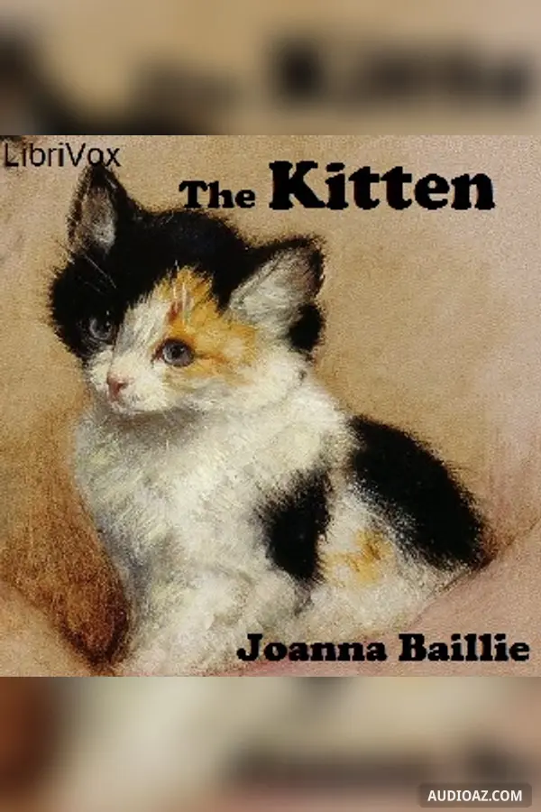 The Kitten
