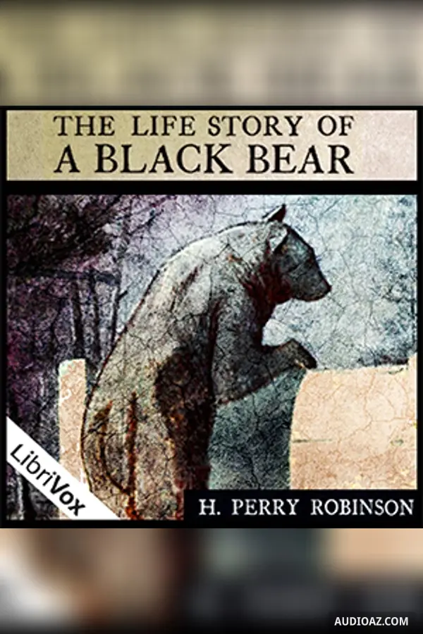 The Life Story of a Black Bear