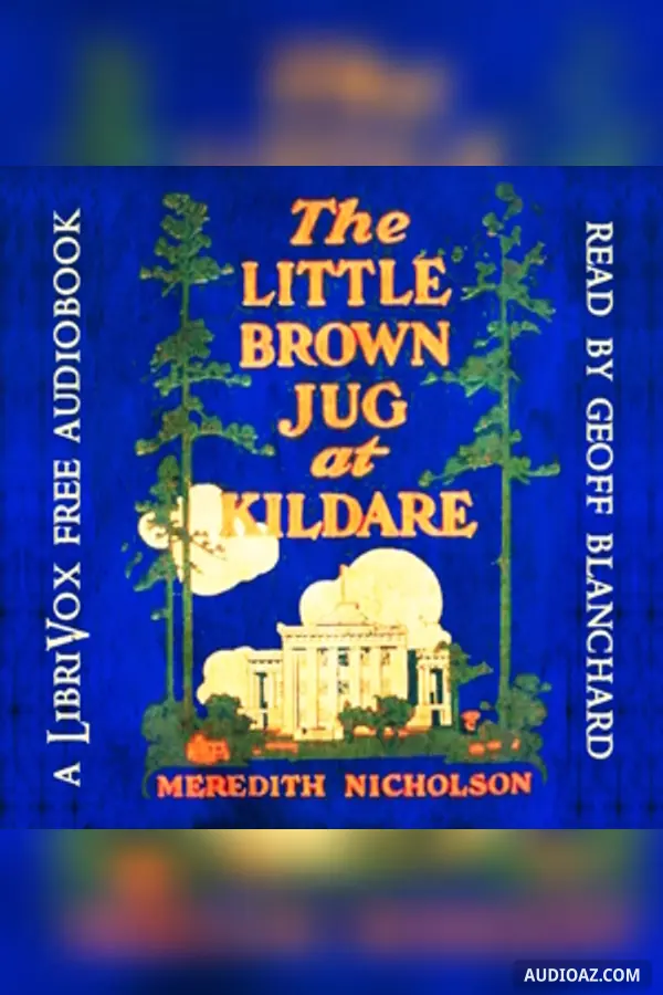 The Little Brown Jug at Kildare