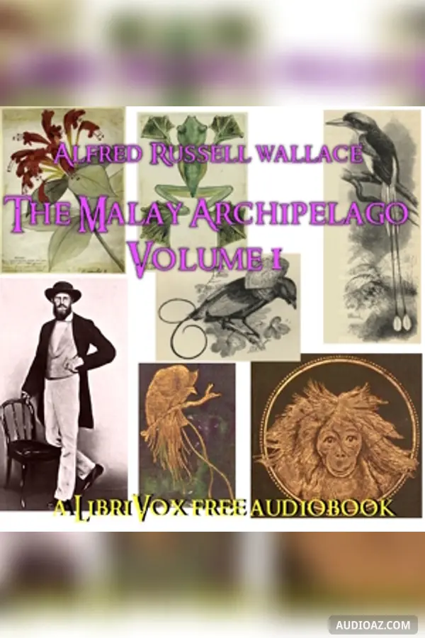 The Malay Archipelago, Volume 1