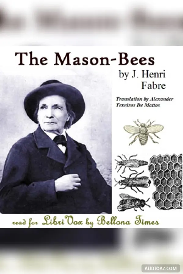 The Mason-Bees