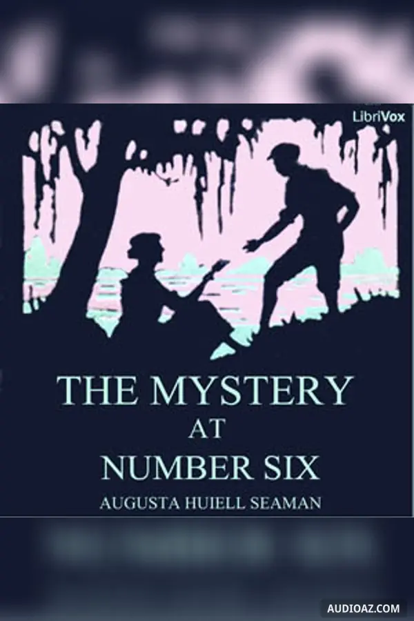 The Mystery at Number Six