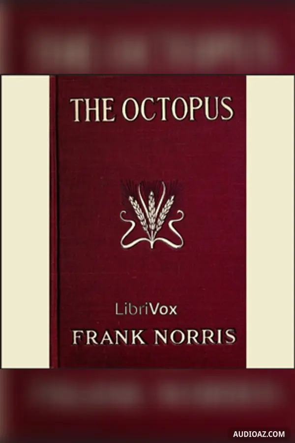 The Octopus