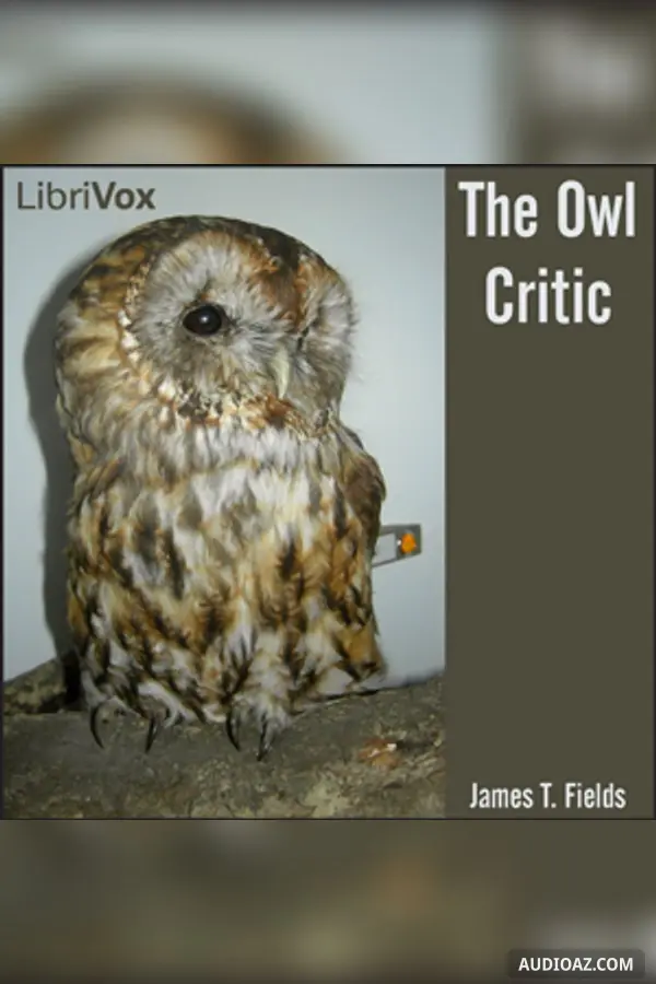 The Owl Critic