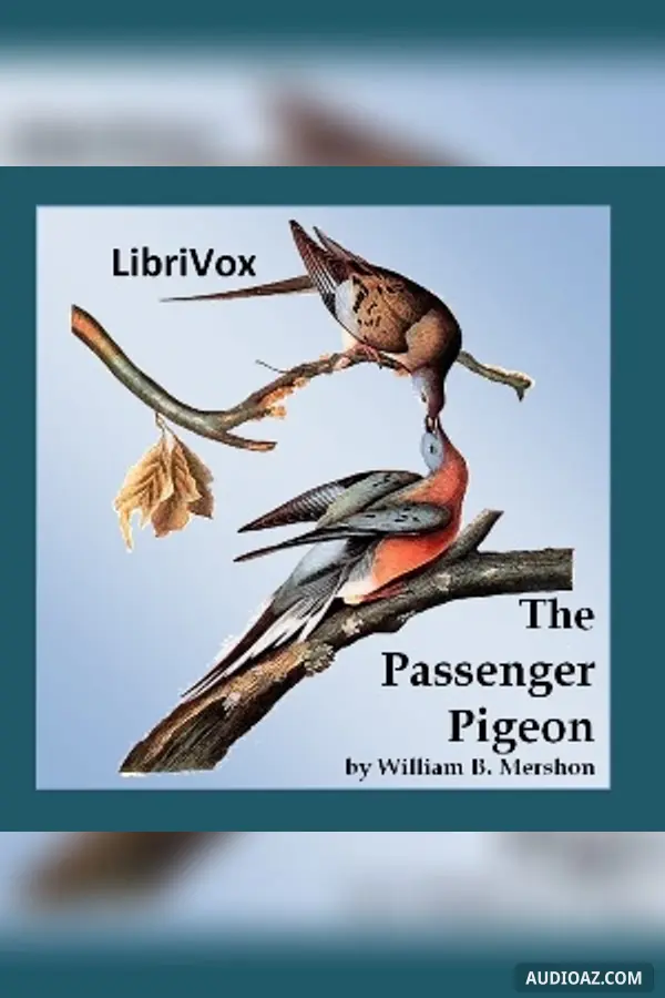 The Passenger Pigeon