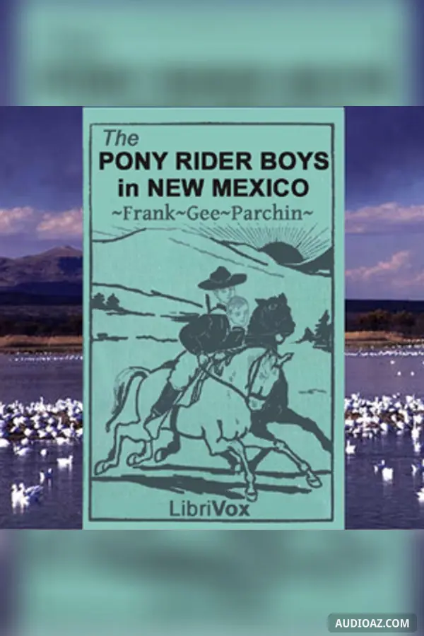 The Pony Rider Boys in New Mexico
