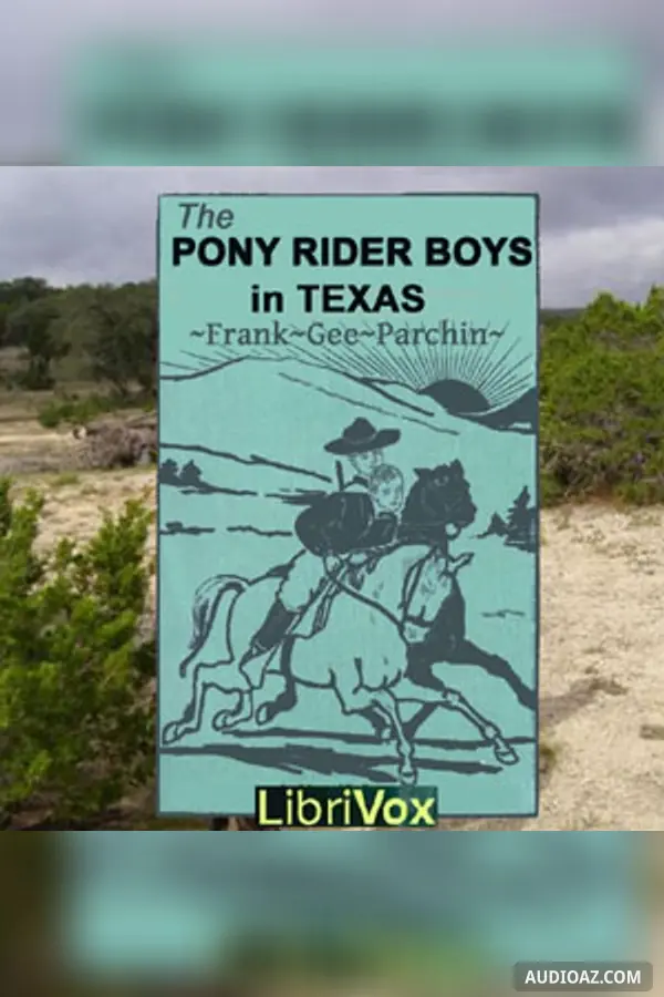 The Pony Rider Boys in Texas