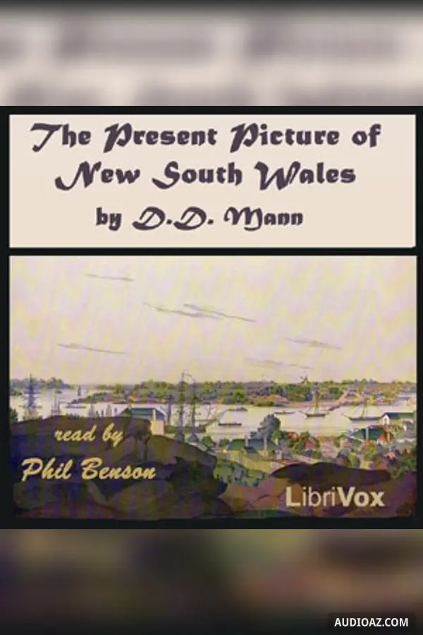 The Present Picture of New South Wales