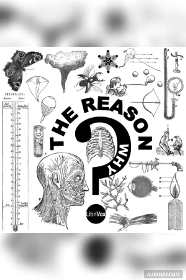 The Reason Why