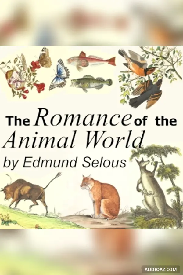 The Romance of the Animal World