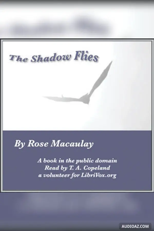 The Shadow Flies