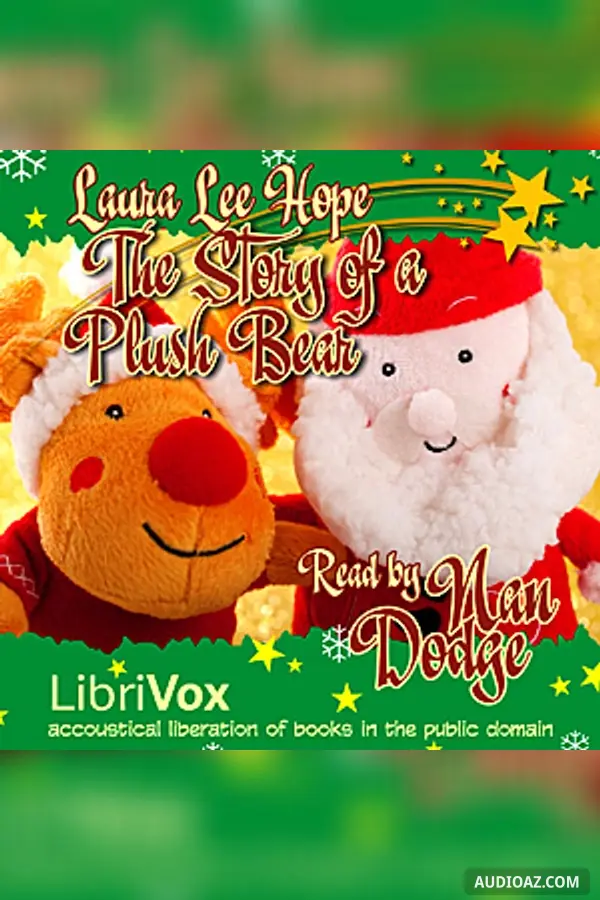 The Story of a Plush Bear