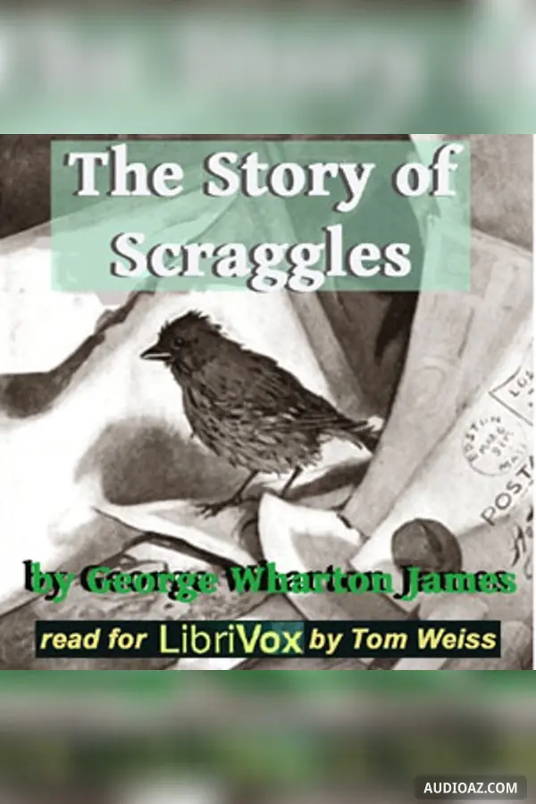 The Story of Scraggles