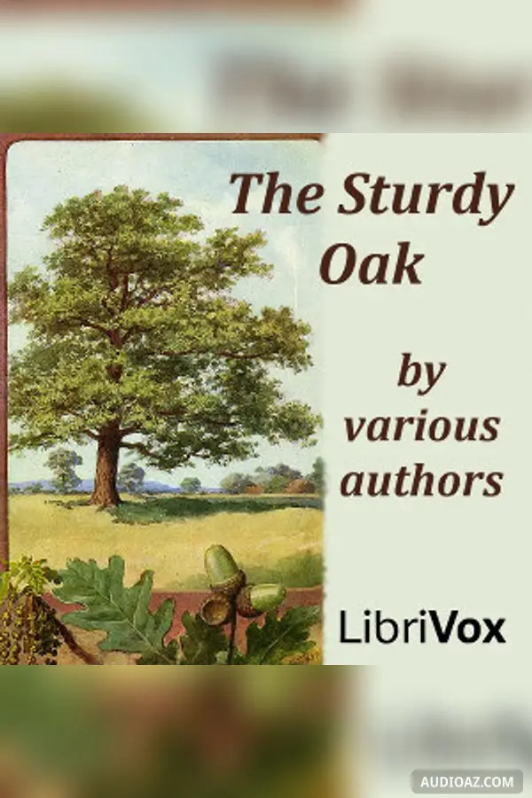 The Sturdy Oak
