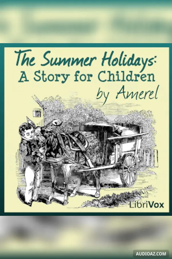 The Summer Holidays: A Story for Children