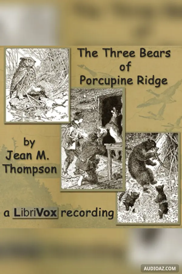 The Three Bears of Porcupine Ridge