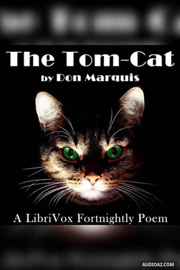 The Tom-Cat