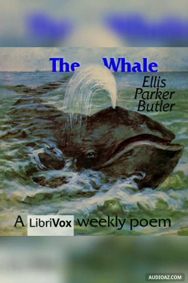 The Whale