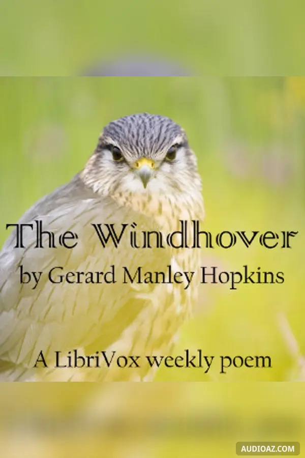 The Windhover