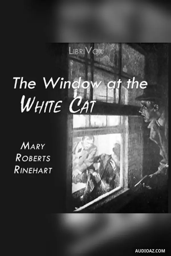 The Window at the White Cat