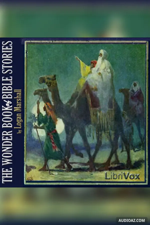 The Wonder Book of Bible Stories