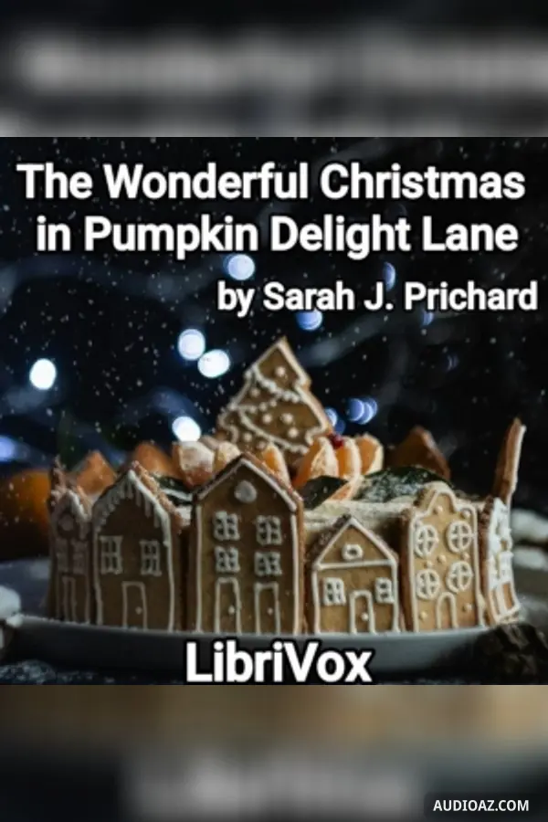 The Wonderful Christmas in Pumpkin Delight Lane