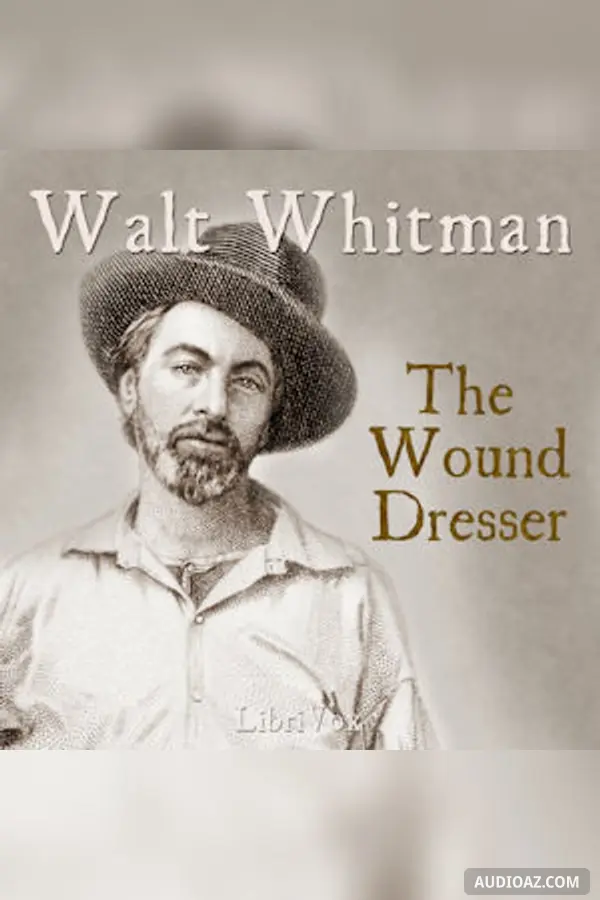 The Wound Dresser