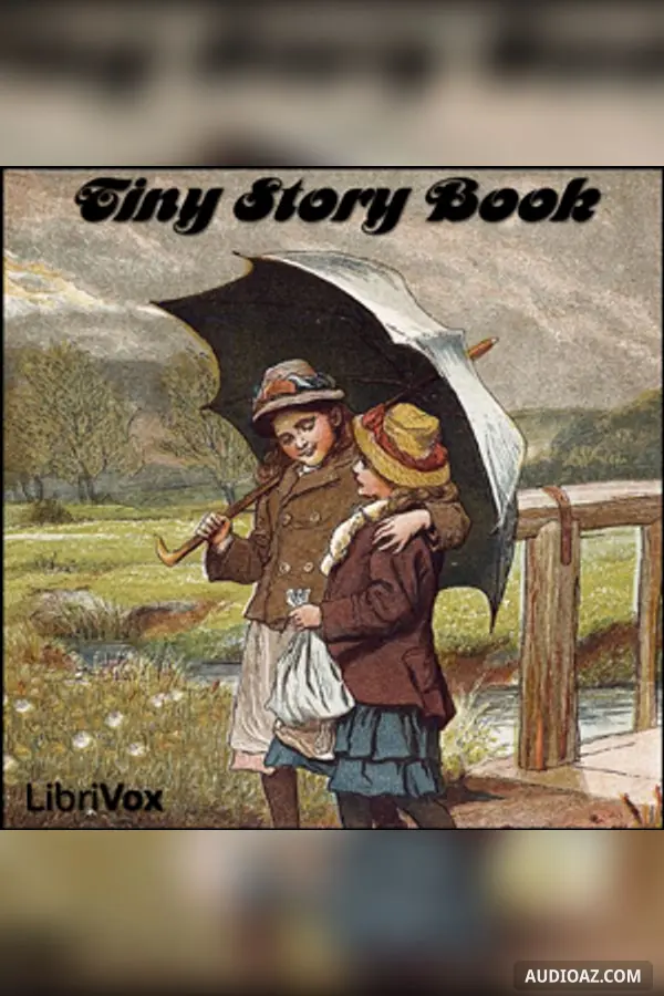 Tiny Story Book