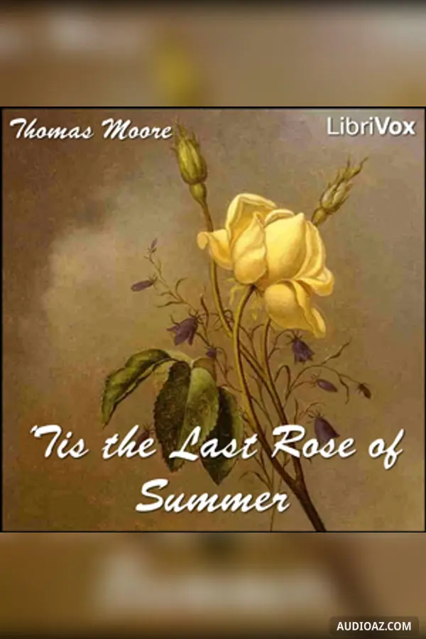 Tis the Last Rose of Summer