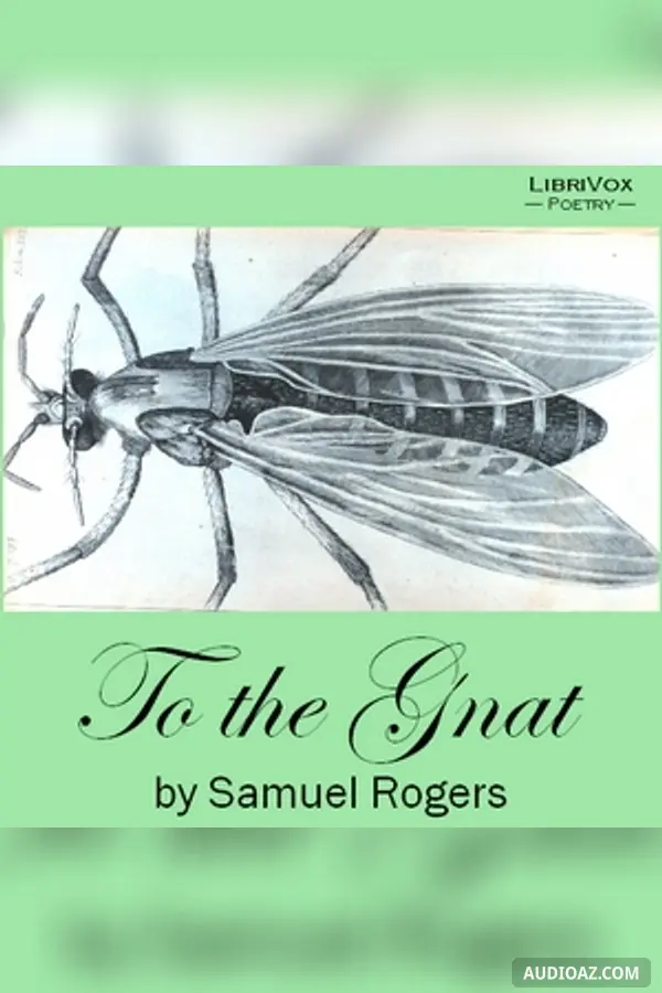 To the Gnat