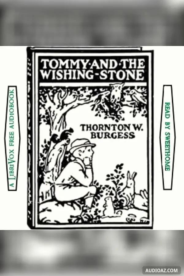Tommy and the Wishing Stone