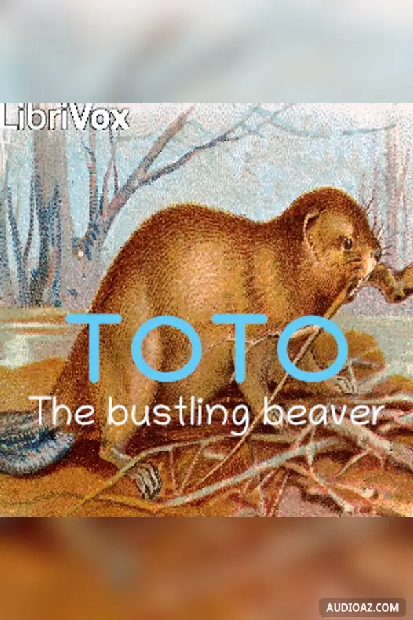 Toto, the Bustling Beaver