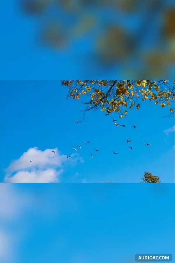 Bầu trời lặng lẽ