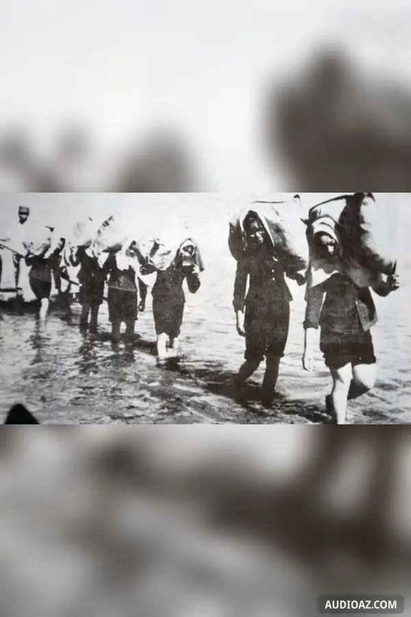 Bông điên điển hồng