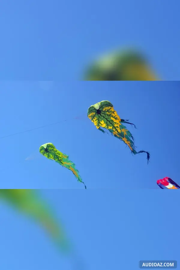 Cánh diều bay lên