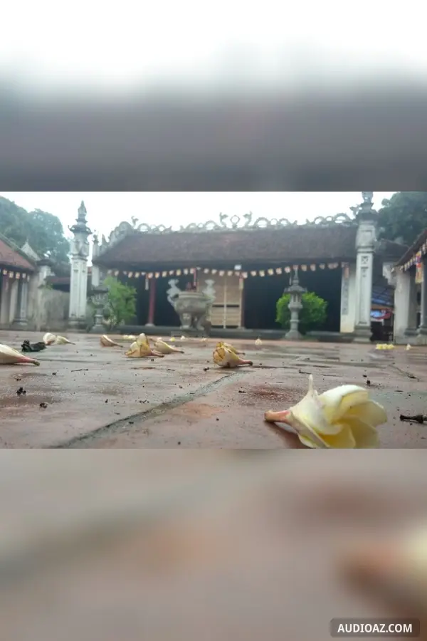 Chiếc điện thoại di động của nhà chùa